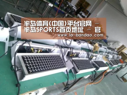 半岛体育案例展示一(图1)