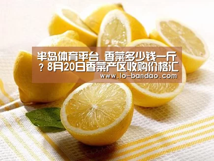 半岛体育平台_香菜多少钱一斤?8月20日香菜产区收购价格汇总(图2) 半岛体育平台